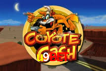 Crash Games Statistics u9bet